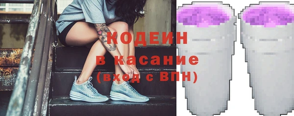 гашик Горняк