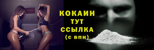 трава Туринск