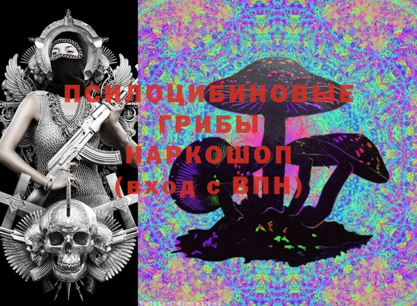 трава Туринск
