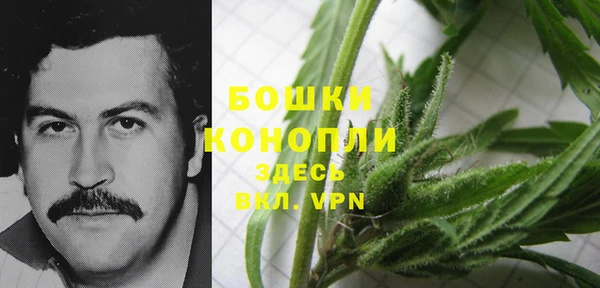 трава Туринск